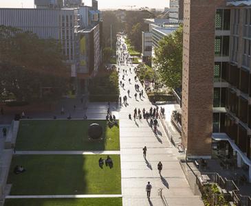 main walkway of UNSW 