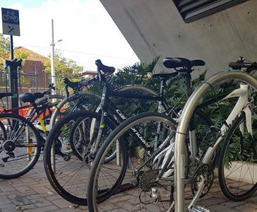 Bikes at UNSW