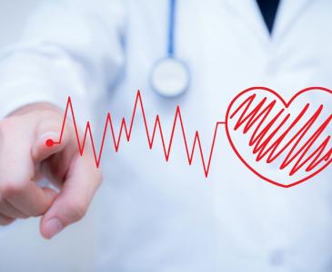 Heart Foundation funds UNSW researchers to improve cardiovascular health