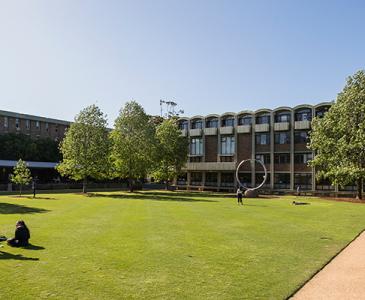 UNSW Library Lawn