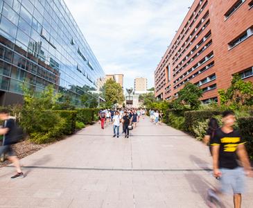 UNSW School names by Faculty