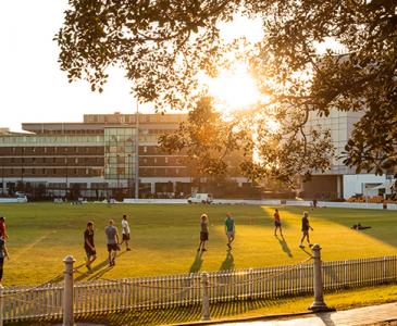 UNSW Village Green at sunset