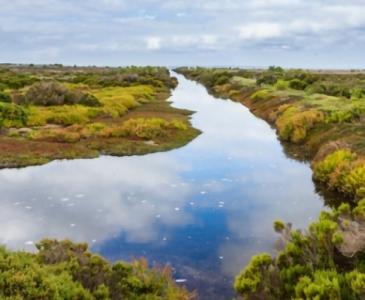 Wetlands