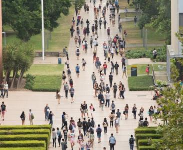 UNSW campus from above