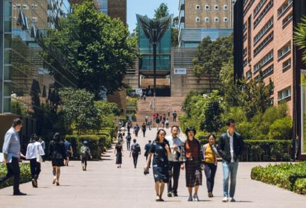 People walking on a path at the UNSW Kensington campus