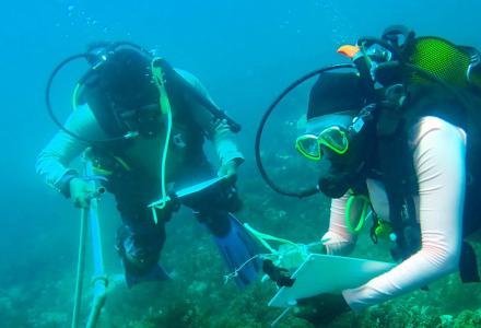 Two scuba divers with clipboards underwater
