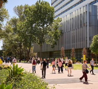 Campus main walkway