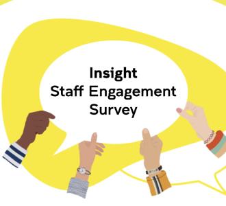 Insight Survey