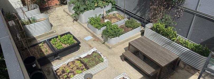 Urban garden