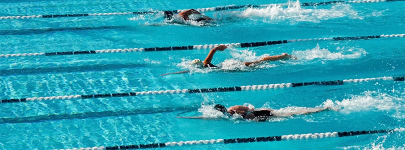 People swimming in lanes