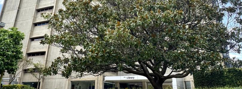 Tree with large letters in front spelling "Hearts Hands Minds"