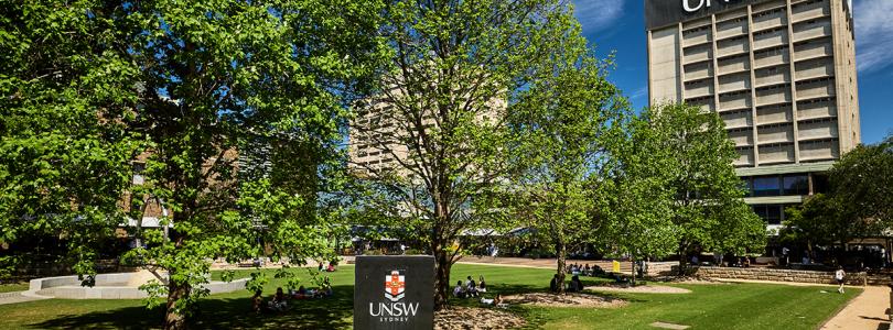 The UNSW lawn on Kensington Campus.