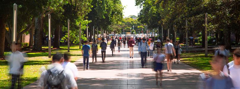 Students walking on campus