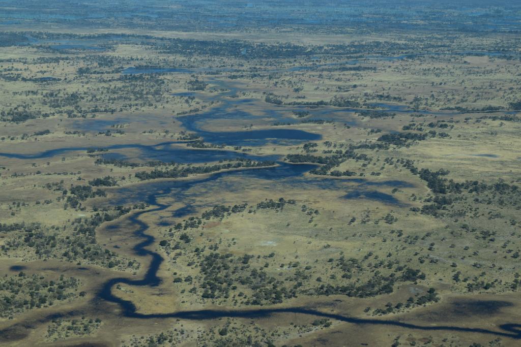 Okavango Delta, Botswana