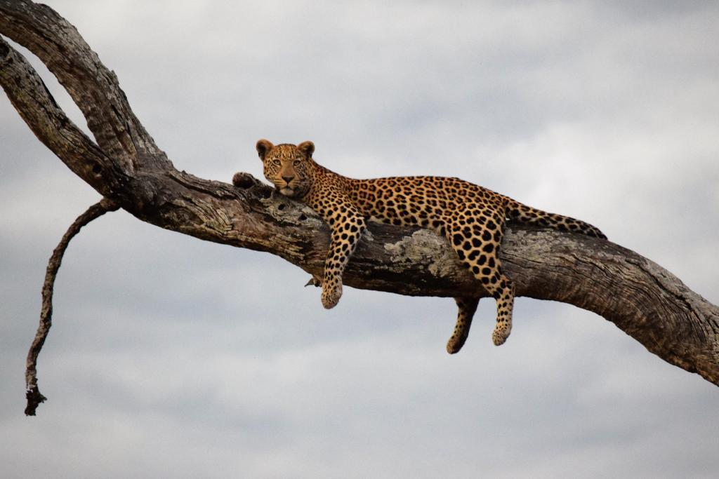 Okavango Delta, Botswana